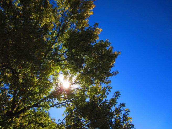 Definitely a hint of fall in the air, and in the trees as well.