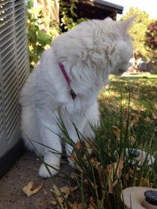 "Oh, shit, it's the REMF who thinks he's in charge around here again. ..."