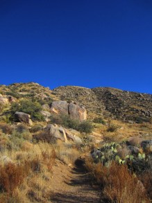 Welcome to Piedra Lisa, which is Spanish for "Smooth Stone."