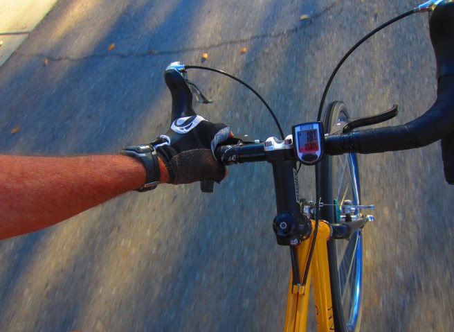 Around and around and around we go, and where we stop, nobody knows.