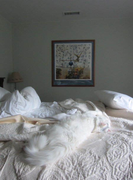 "Wake me when it's over," says the Turk. I'll need a spatula to flip him from time to time so he doesn't get bedsores.