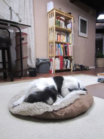 Behold the recovery interval.