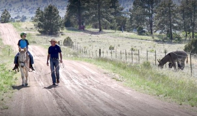 Hal Walter and his son Harrison working a burro near their home outside Weirdcliffe, Colorado.
