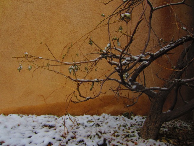 I'm thinking we won't need to break out the Acme Atomic Snow-blower™ for this one.