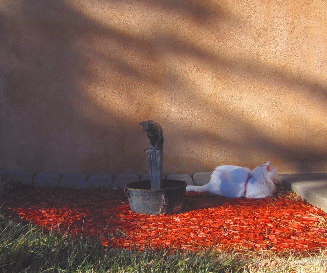 Cannon to right of them; cannon to left of them.