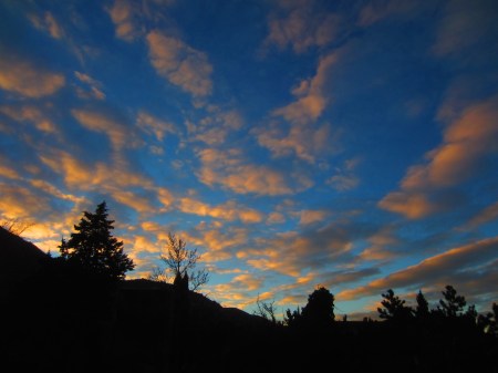 "He's done it again. It's coming up. It's coming up."