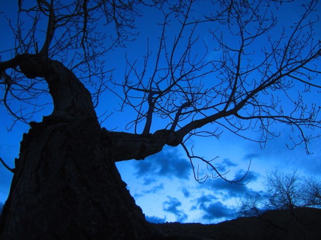 Looks like I guessed wrong, weather-wise: I ran yesterday, which turned out to be an OK day for cycling. Today, however. ...