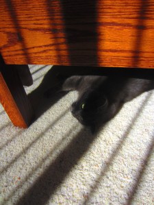 Mia goes to the mattresses. Well, to be specfic, under same.